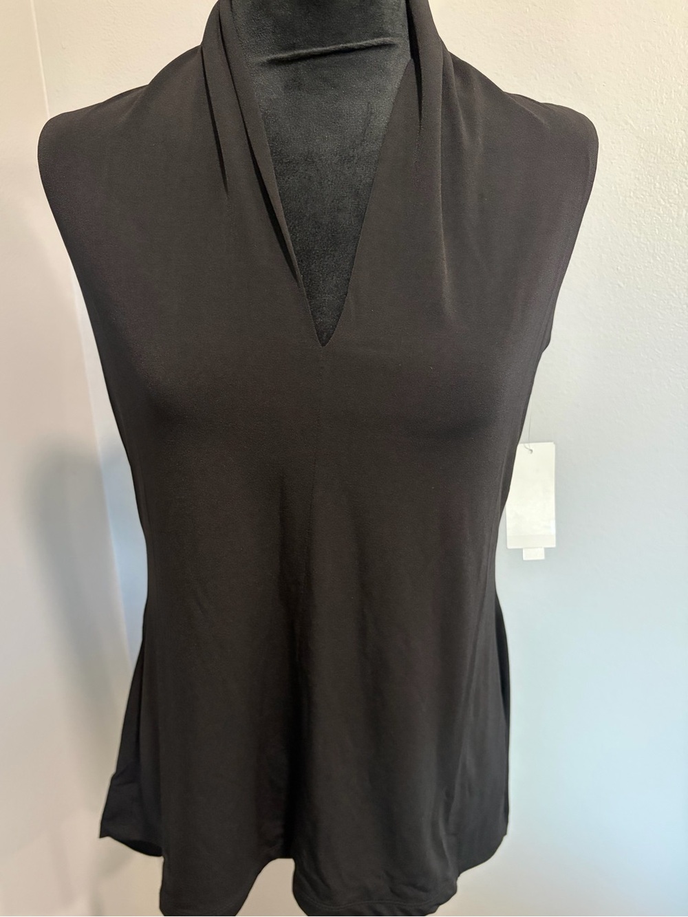 Grace Black Sleeveless V-Neck Draped Camisole